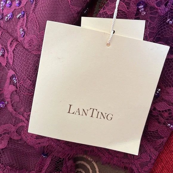 MOB Dress. LanTing Bride. Sold as size 12; fits like an 8/10. Burgundy. - Picture 5 of 7